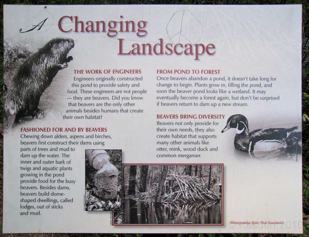 Tilton NH Rail Trail 2010 0376.jpg - Winnipesaukee River Trail, Franklin New HampshireTrestle View ParkInterested in taking a walk or bike ride on a scenic historic trail close to the downtowns of the twin rivers area, yet with the feel of wilderness. A 3 mile trail parallels the Winnipesauke river and passes the historic Sulphite upside down covered bridge believed to be the only one in the country and listed on the national register of historic places. You will also view mill ruins and remaining portions of dams that tell the history of the 5 mills that operated on this river in the mid 19th century.